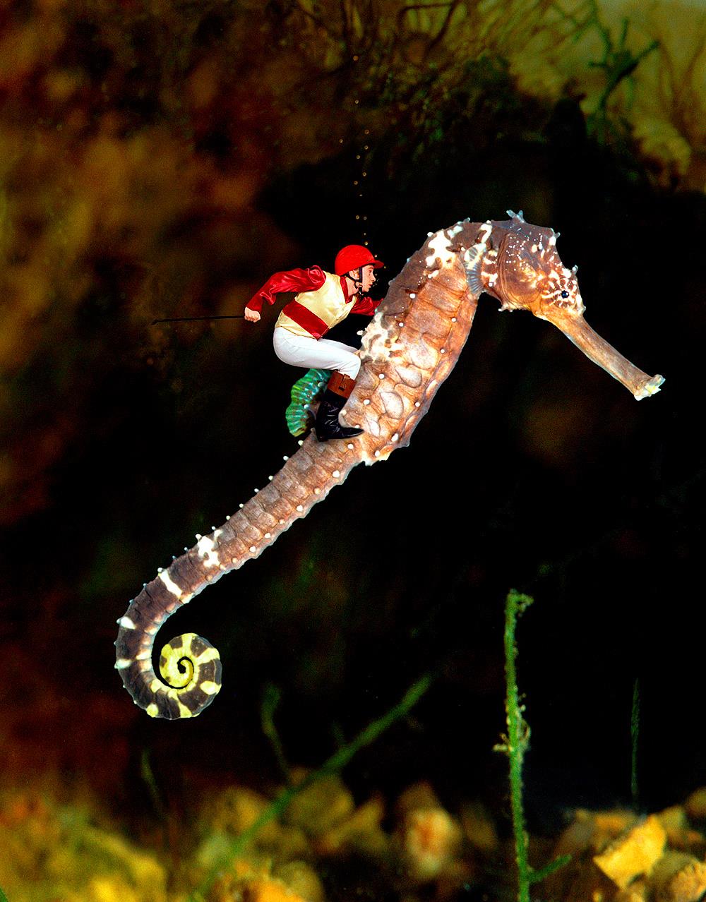 Artwork by Storm Thorgerson for Ian Dury's Reasons to be Cheerful