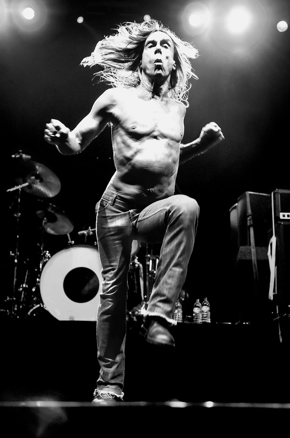 Iggy Pop (IP001STUN)