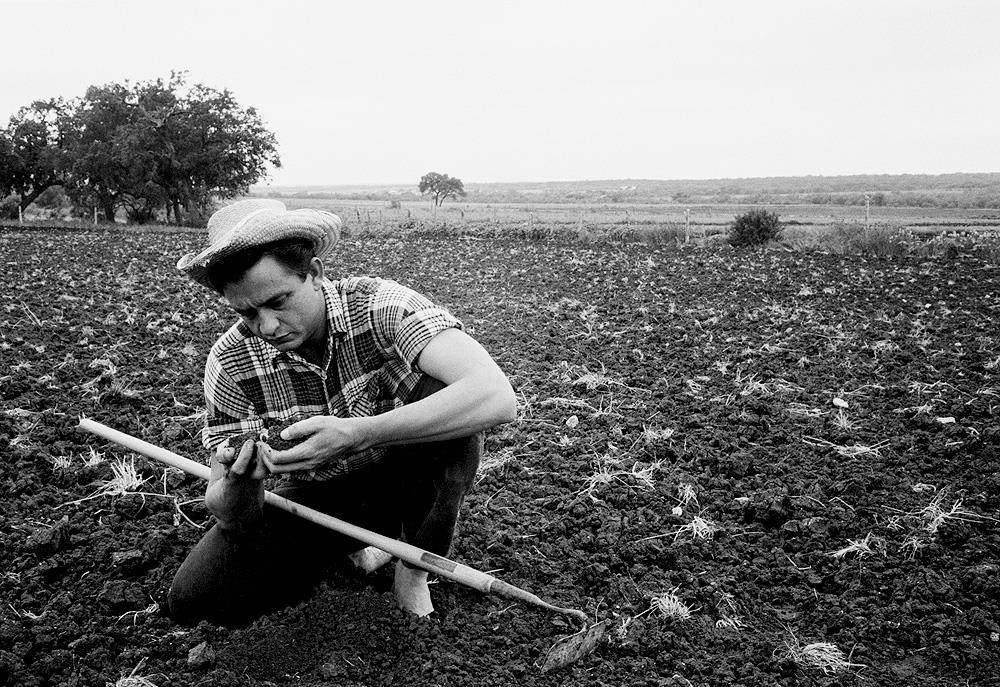 Johnny Cash (CASH005DONH)