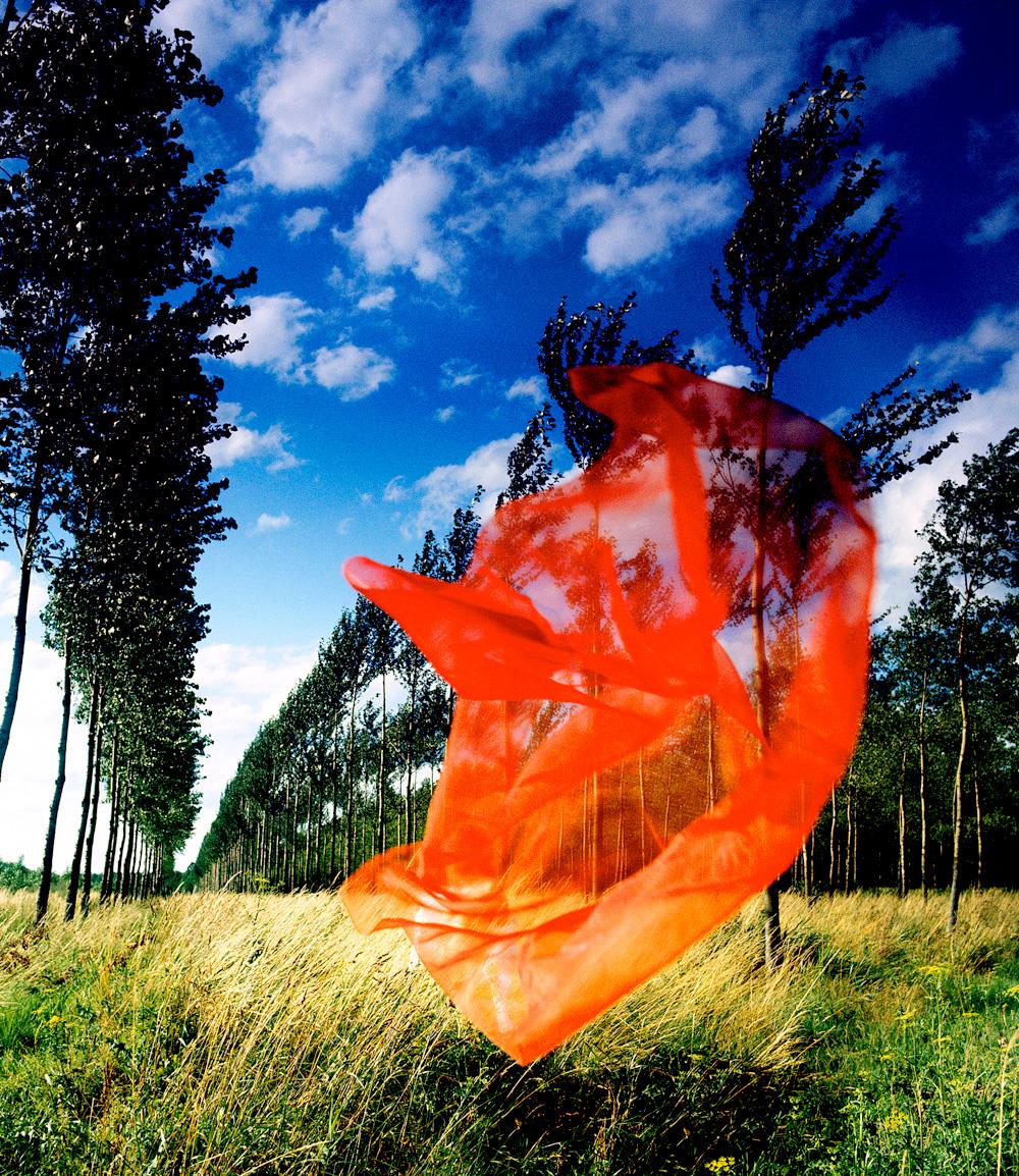 Pink Floyd Storm Thorgerson Artwork Print Of Wish You Were Here Pink Floyd Storm Thorgerson Artwork Print Of Wish You Were Here
