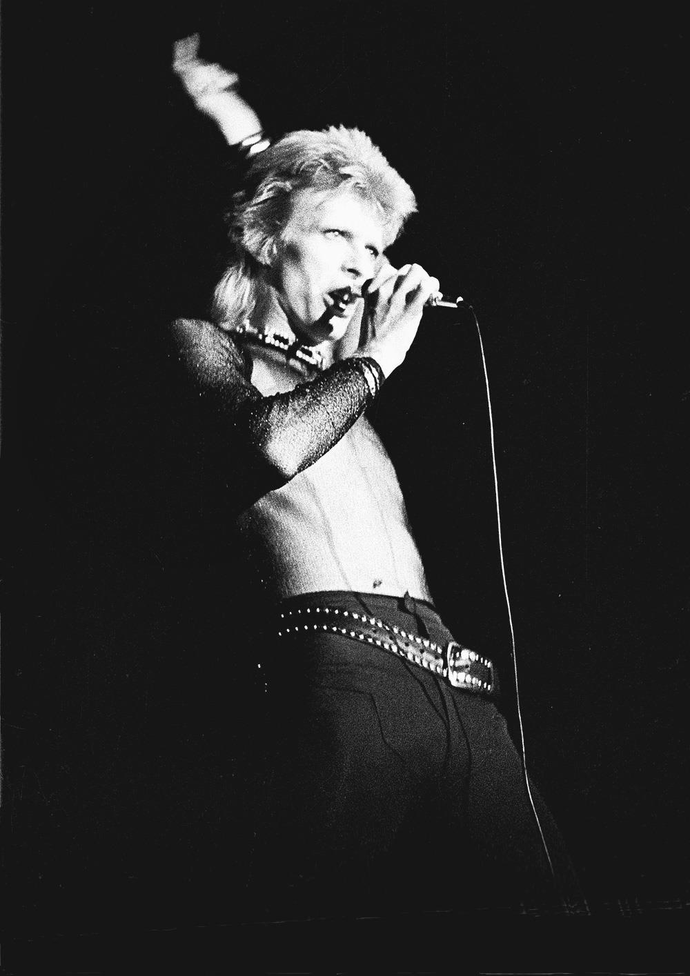 David Bowie (DB003IDMP)