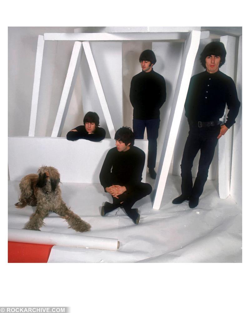 The Beatles | The Fab Four, 1965 Print | Robert Whitaker Photo