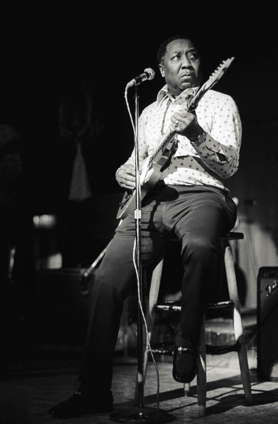 Muddy Waters (MUD01RF)