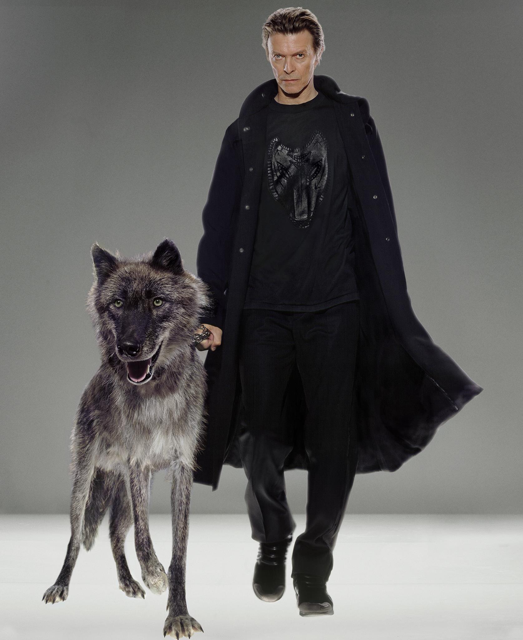 David Bowie photographed with a wolf by Markus Klinko in 2002