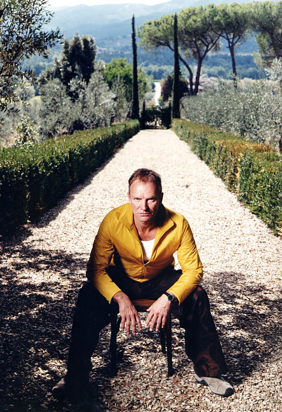 A limited colour print of Sting sat on a stone path between hedgerows in 2001