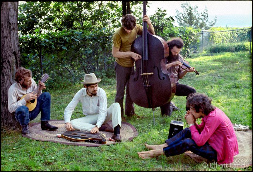 A limited edition colour print of The Band hanging out outside on the grass.
