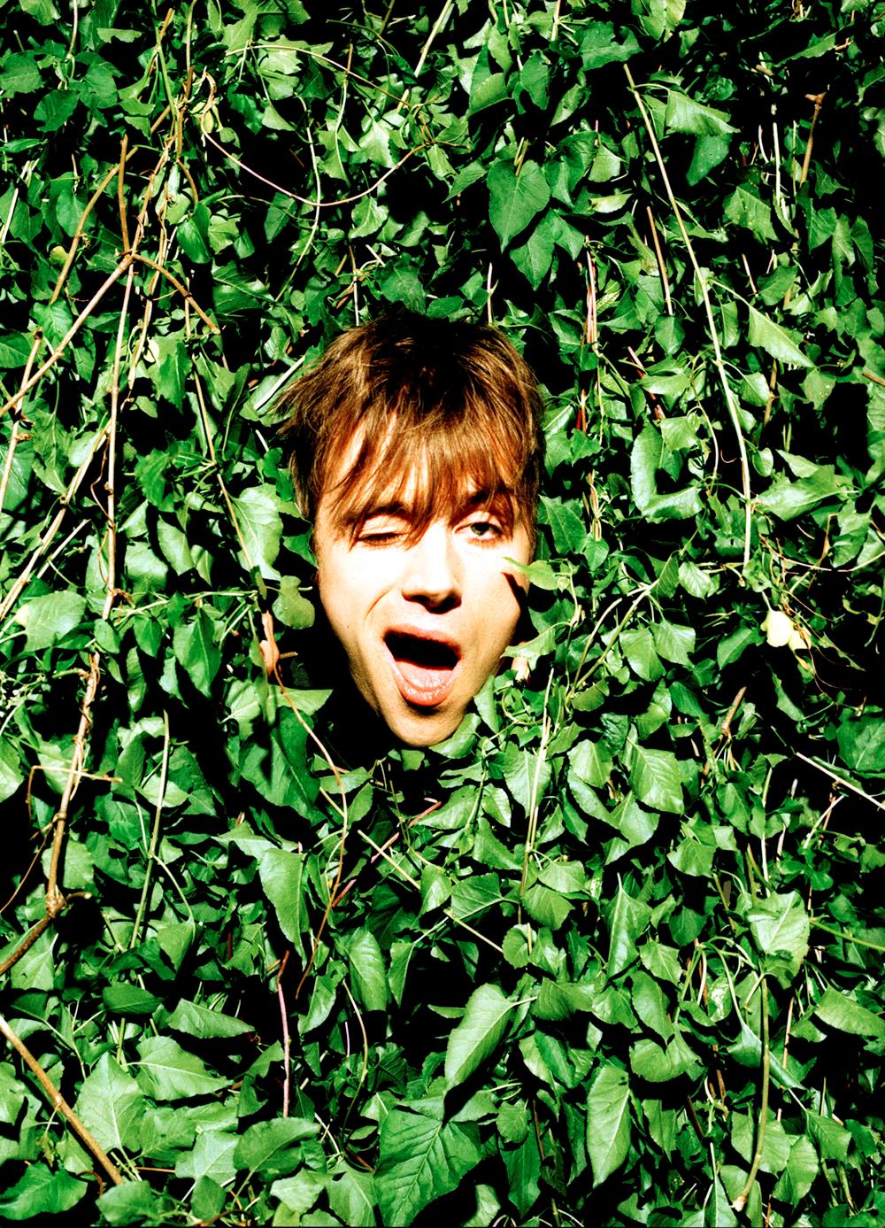 A Rockarchive fine art print of Damon Albarn from Blur with his head sticking out of a hedge.