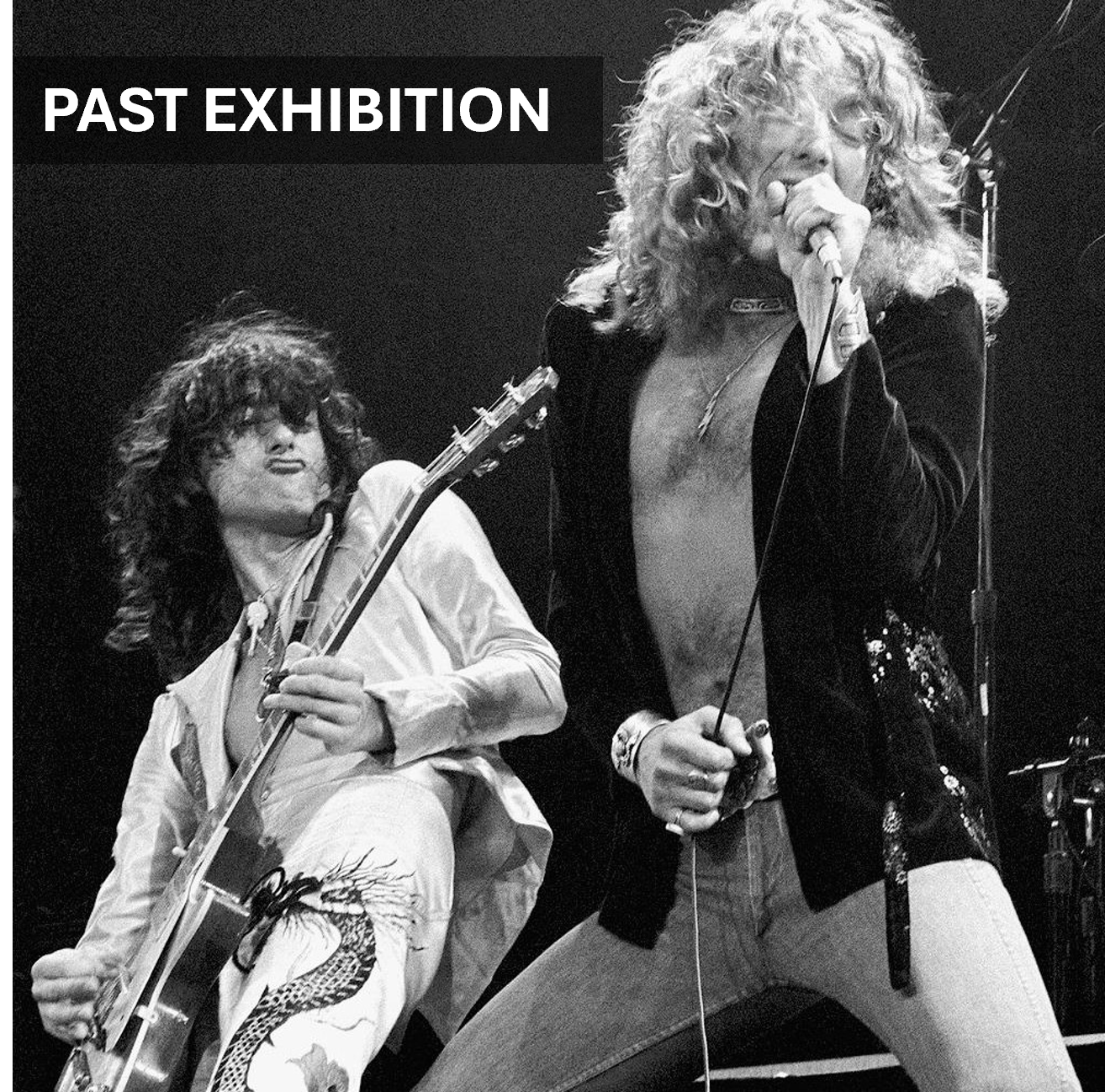 The Main Stage Exhibition: Royal Albert Hall